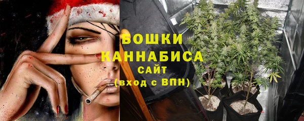 первитин Балахна