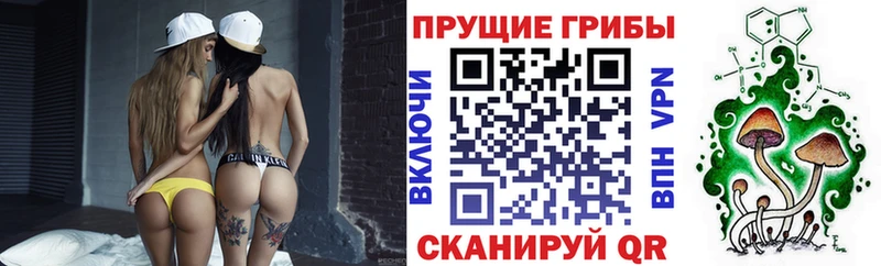 Псилоцибиновые грибы Psilocybine cubensis  купить наркоту  Себеж 