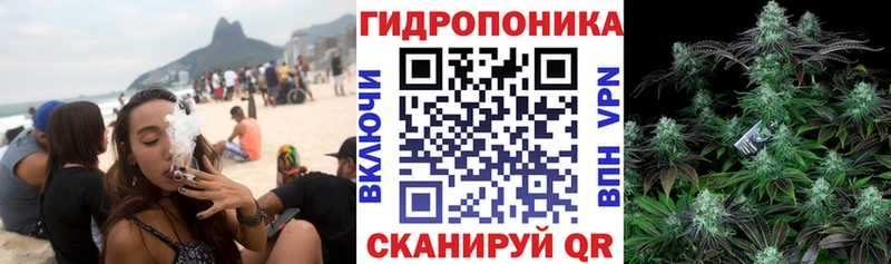 OMG как зайти  Себеж  darknet наркотические препараты  Марихуана THC 21% 
